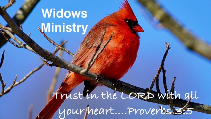 Logo for Widows Gathering