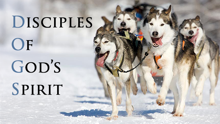 Logo for Disciples of God's Spirit (DOGS)