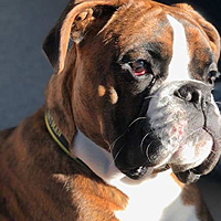 Logo for TGIF Small Group