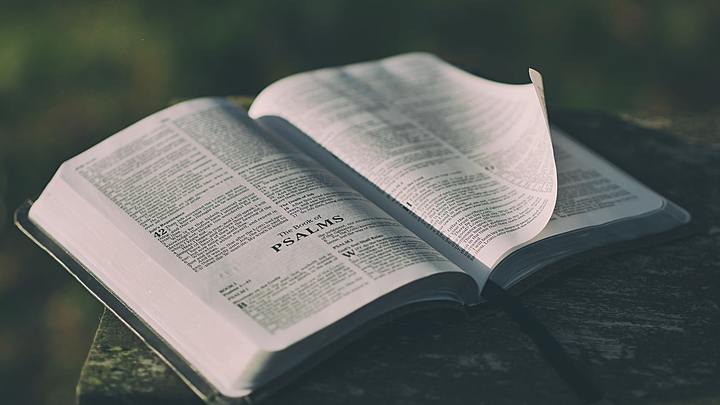 Logo for MON. | LifeGroup: Dozier