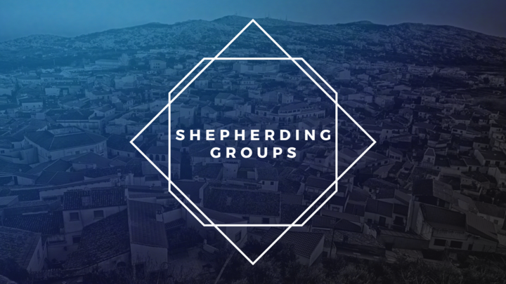 Logo for Windham Shepherding Group