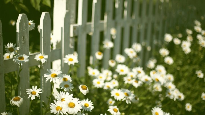 Logo for Faithful Families