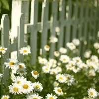 Logo for Faithful Families