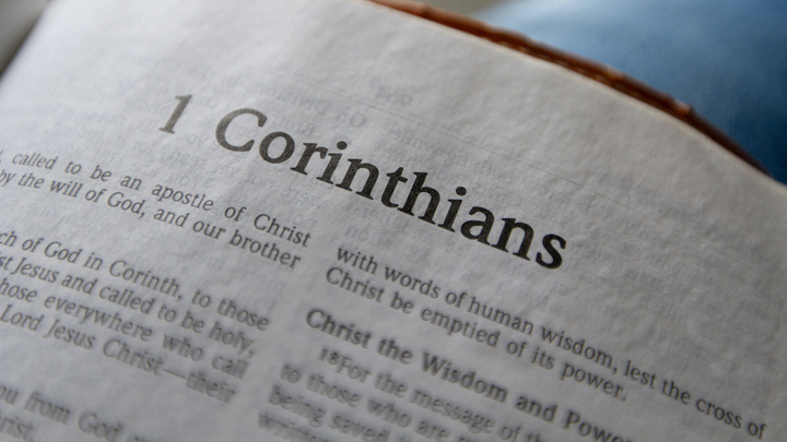 Logo for Tucker's Online Group