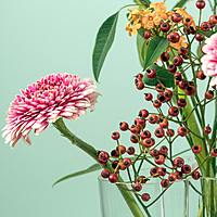 Logo for Boston-Amalia García