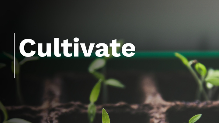 Logo for Cultivate