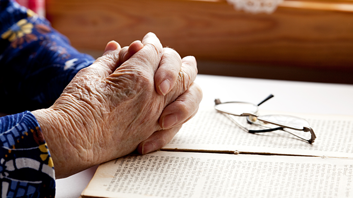 Logo for Widow's Mite