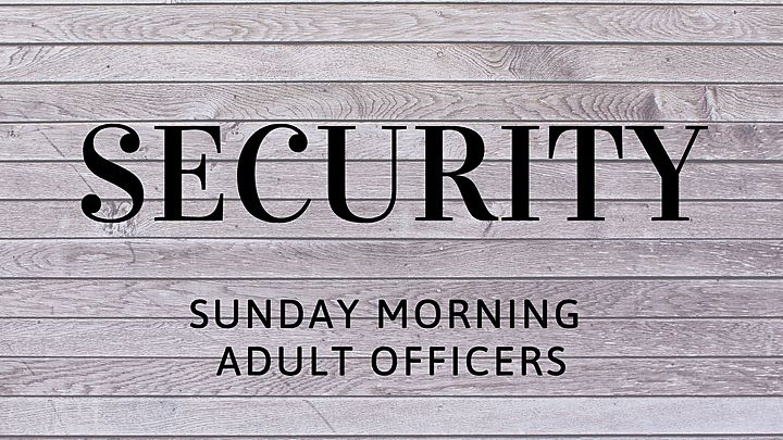 Logo for General Officers: Security Team
