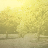 Grounds