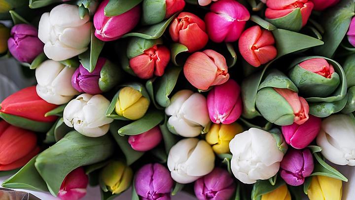 Logo for Crusaders Class