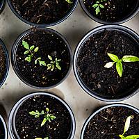 Logo for Deeper Walk