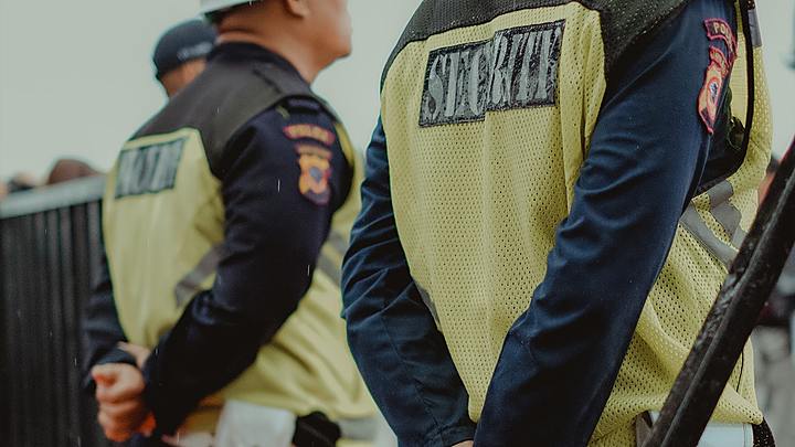 Logo for Sheep Dawgs (Security Team)