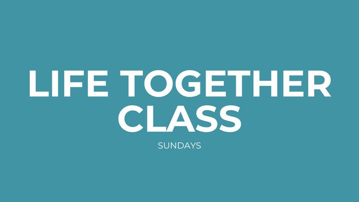 Logo for Life Together - Section 1 (Sunday)