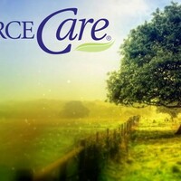 Logo for DivorceCare | Manhasset