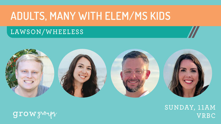 Logo for Lawson/Wheeless