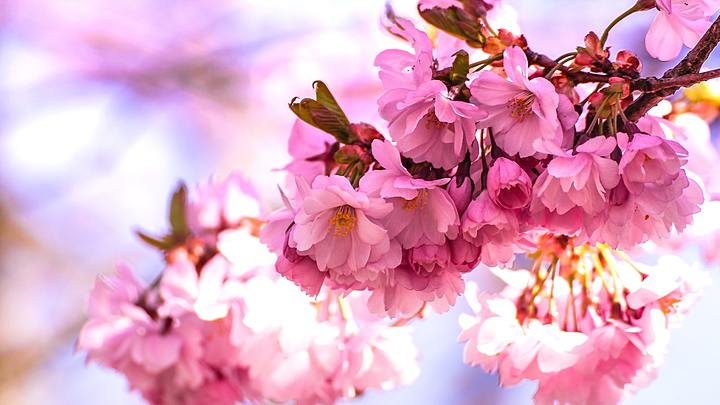 Logo for Wednesday Ladies' Bible Study