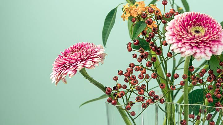 Logo for WOMEN - Women of Faith