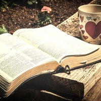 Read Through The Bible In A Year