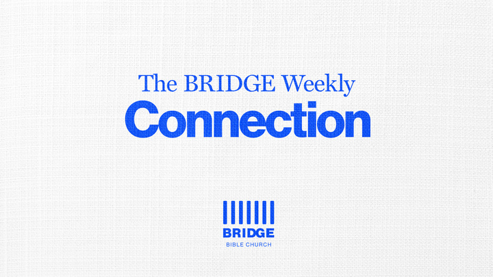 Logo for Bridge Connection