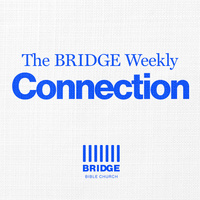 Logo for Bridge Connection