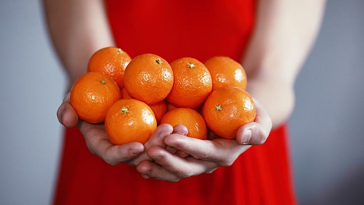 Logo for Food Distribution