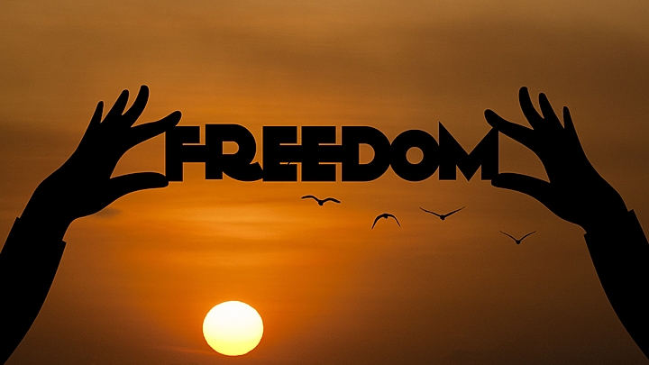 Logo for Freedom through Christ