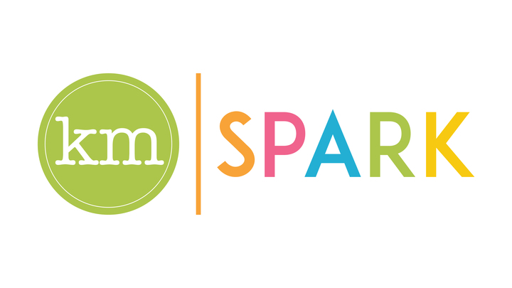 Logo for Spark