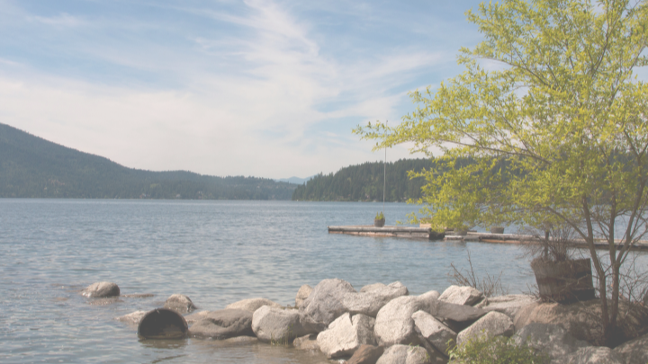 Logo for Friday Evenings at the Wohlgemuths'