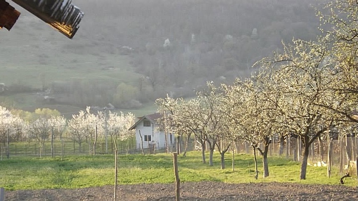 Logo for The Good Life Women’s Group