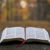 Logo for Cwiakala's Bible Study