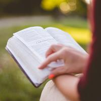 Logo for Women's Bible Study