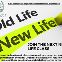 Logo for New Life Class - 11 AM - Room 100