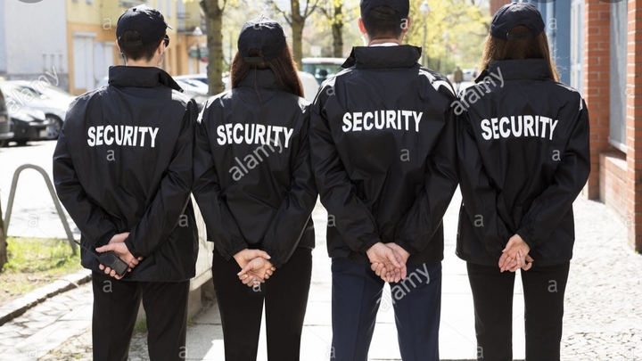 Logo for Security Team