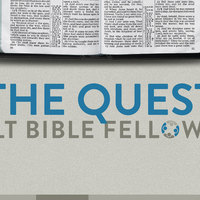 Logo for The Quest ABF