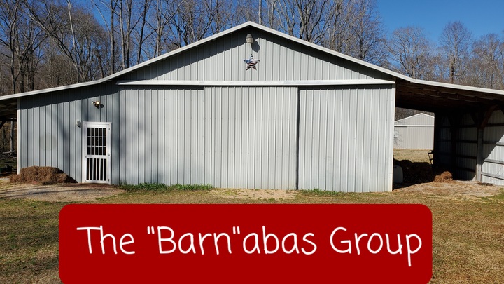 Logo for The Barnabas Group: "The Encouragers"