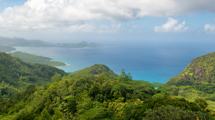 Logo for Global Missions