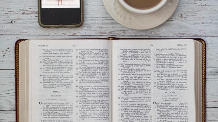 Logo for Searsport Circle