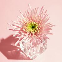 Logo for b3 women: A Woman's Heart