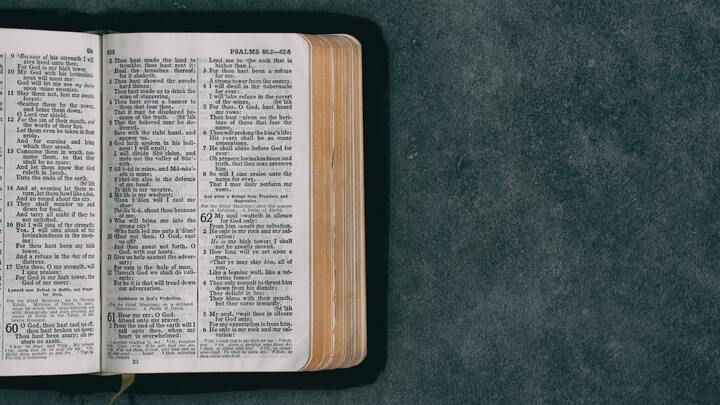 Logo for O'Brien Mill Group