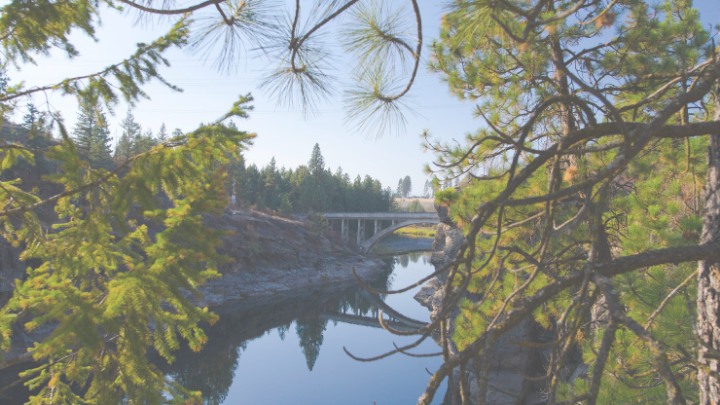 Logo for Monday Evenings at the Li’s