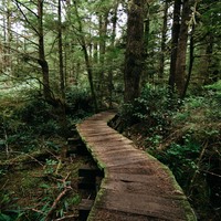 Logo for Pathfinders