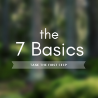 Logo for The 7 Basics-NEXT STEPS