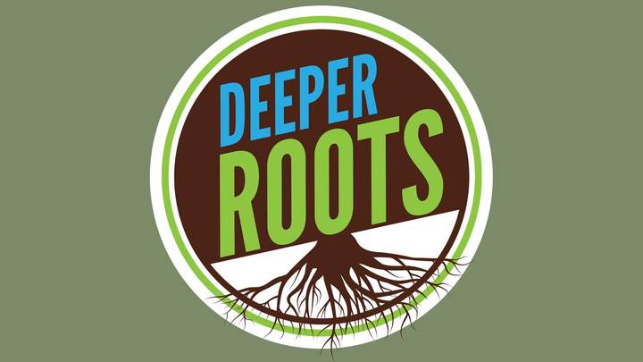 Logo for Deeper Roots