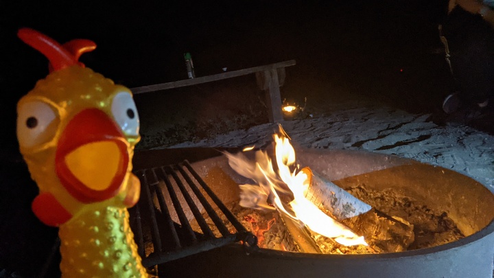 Logo for Beloved Students Leadership