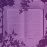 Logo for Salt and Light