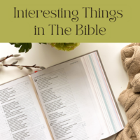 Logo for Interesting things in the Bible