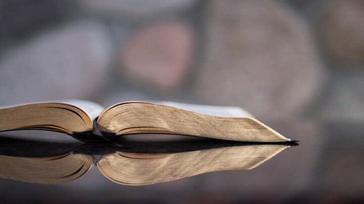 Logo for Sunday Early