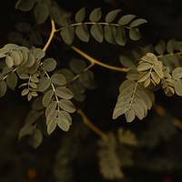 Logo for Wednesday Discipleship