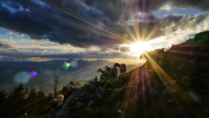 Logo for God's Shining Armour LG3 (Bradel / Huron)