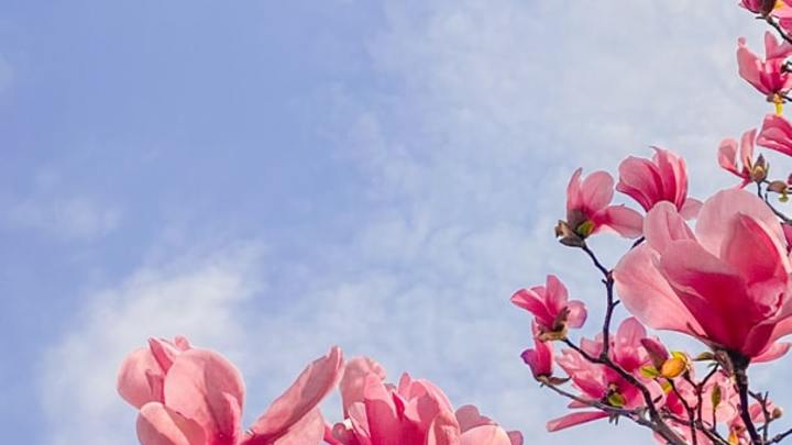 Logo for 12th Grade Girls Small Group